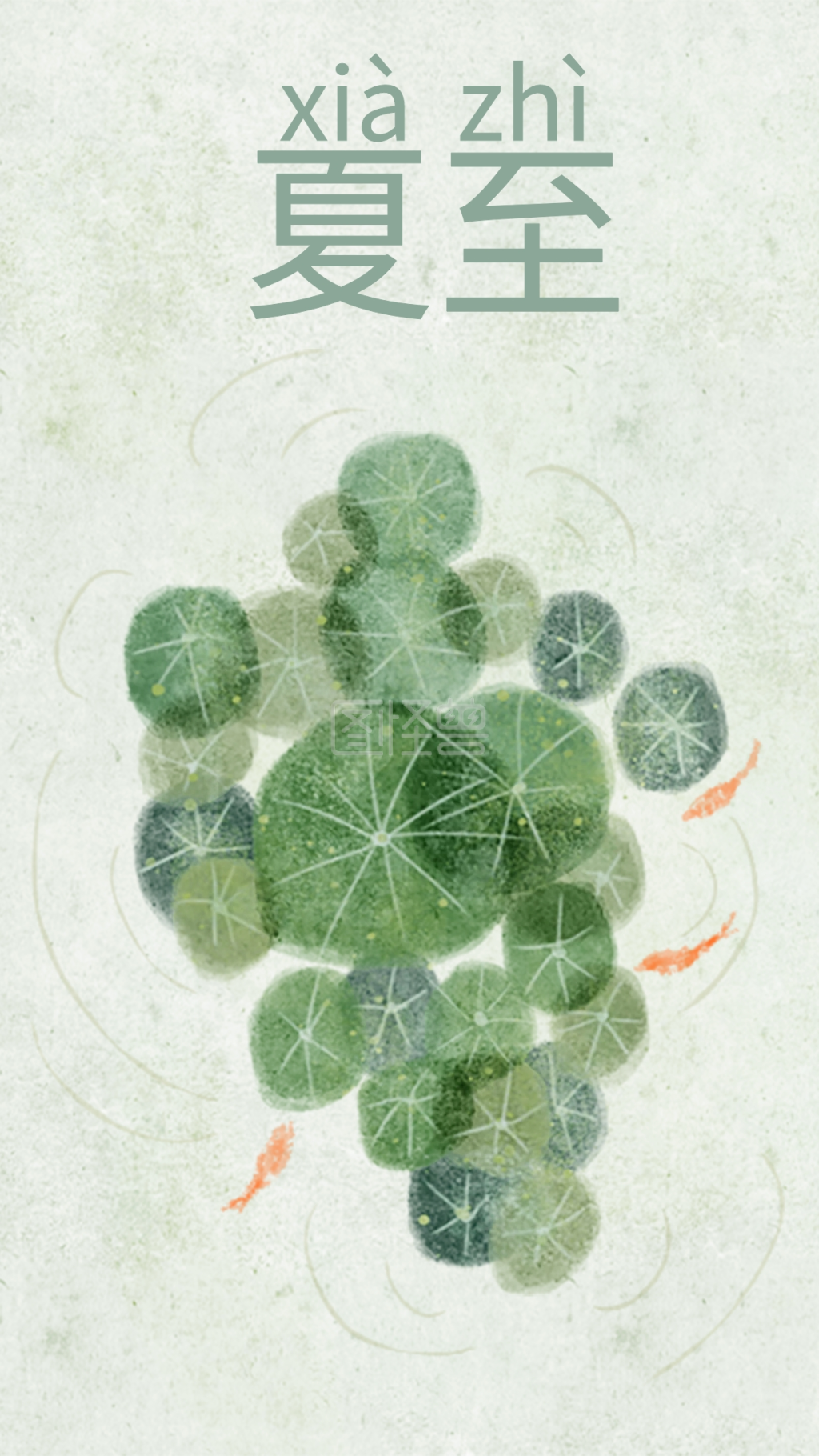 清新绿色水彩夏至节气浮萍鲤鱼池塘手机壁纸