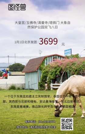 泰国旅游手机海报