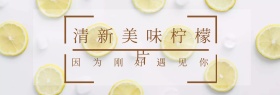 清新美味柠檬片banner