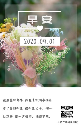 9月早安花草简约日签