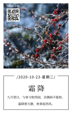 霜降季节节气樱桃红色文艺简约日签