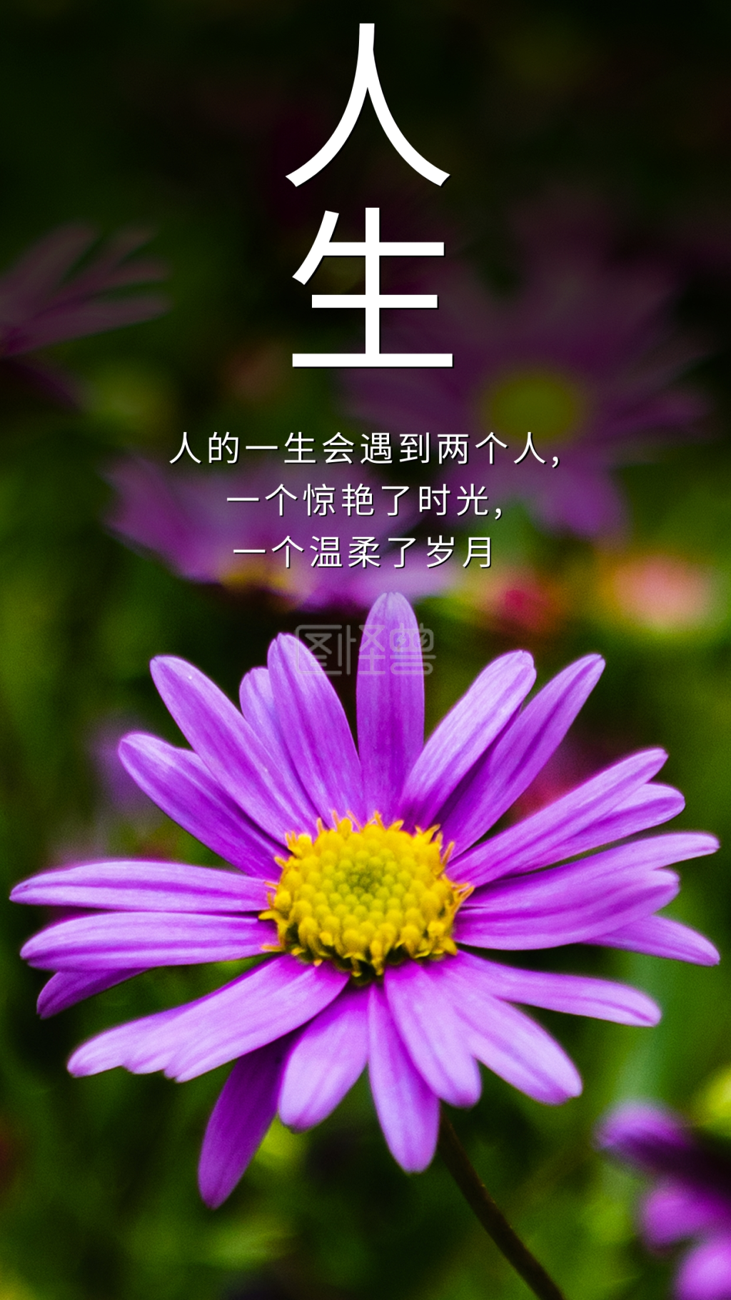 放松心情-人生美丽花心语心情在线图片制作-图怪兽