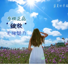 淘宝网纱连衣裙宝贝主图模板psd素材下载