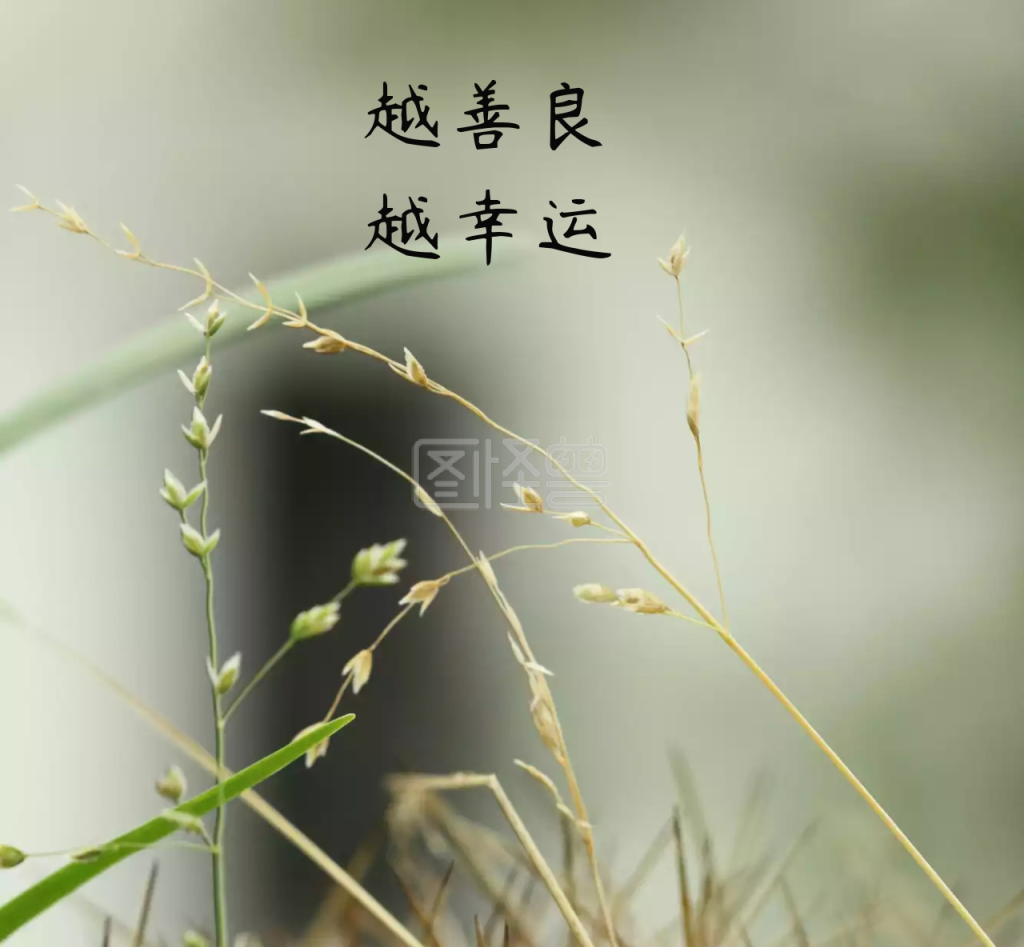 越善良越幸运四叶草绿色简约朋友圈封面