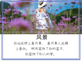风景风情感摄影公众号横版配图模版