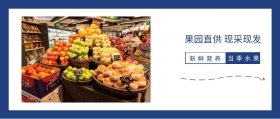 新鲜营养 当季水果 果园直供 现采现发 简约清新水果促销公众号封面