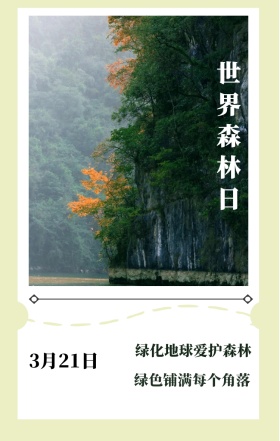 世界森林日 3月21日 绿化地球爱护森林 绿色铺满每个角落 世界森林日简约公益手机海报