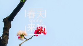 春天简约创意宣传公众号模版