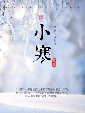2017小寒节气文艺唯美小清新海报