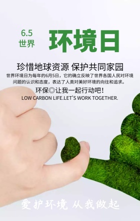 世界环境日保护共同家园绿色扁平化手机海报