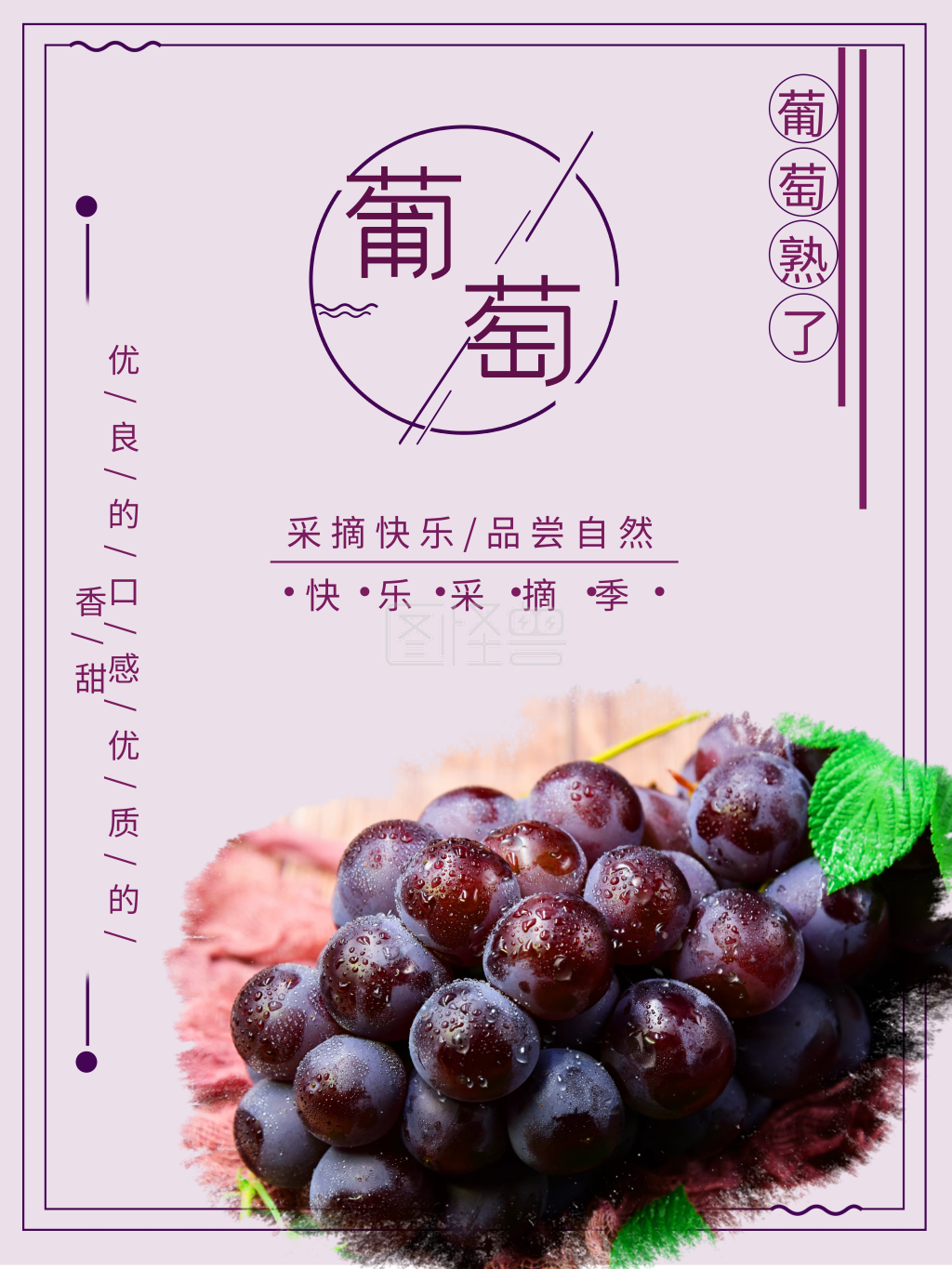 秋季水果新鲜美味清新葡萄宣传海报