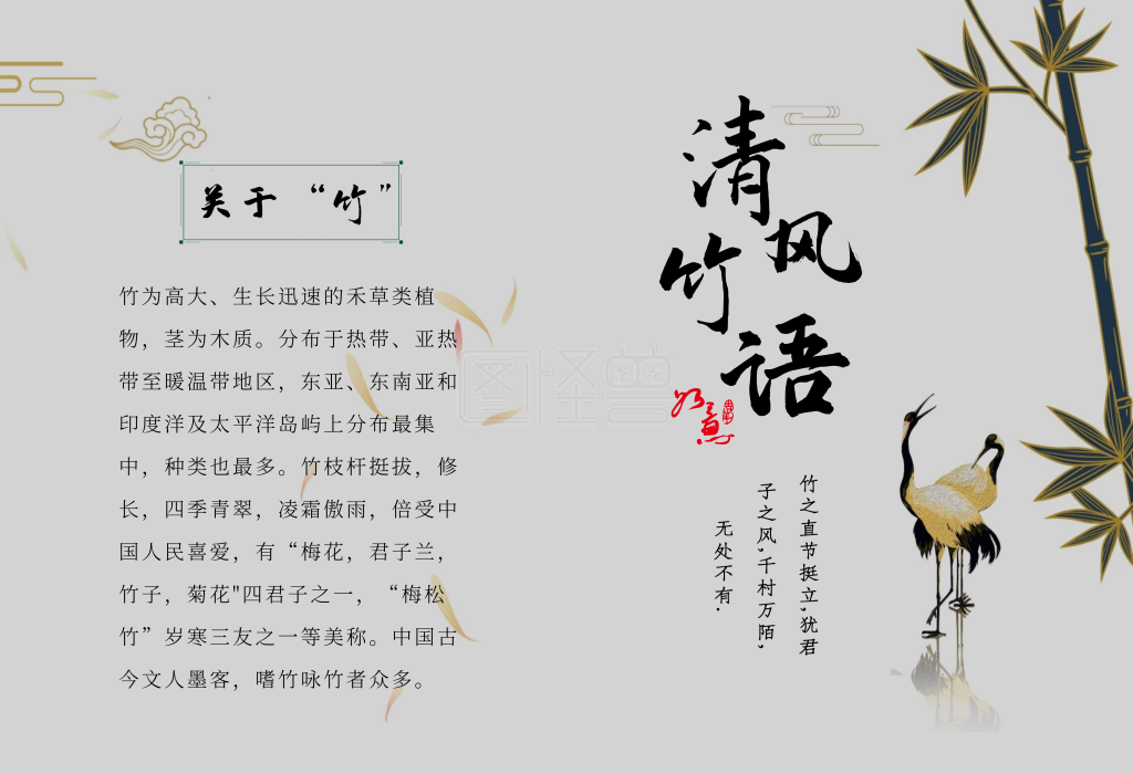 竹子知识绿色典雅竹子画册宣传画册