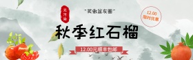 粉色清新秋季红石榴水果电商banner美食