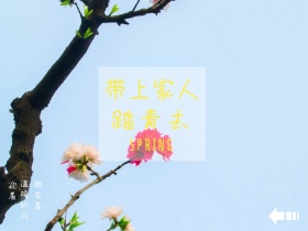 迎着 踏青去 微笑着 带上家人 温暖的风 SPRING 春天春季春游景色油菜花公众号配图