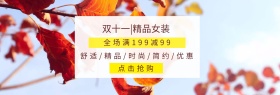 精品女装双十一淘宝嘉年华简约海报