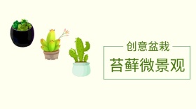 苔藓微景观简约盆栽公众号封面模版