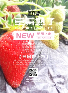 草莓熟了促销宣传海报
