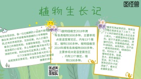 植物生长记手抄报绿色简约