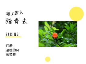 迎着 踏青去 微笑着 带上家人 温暖的风 SPRING 春天春季春游景色油菜花公众号配图