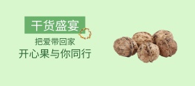 坚果干货简约banner