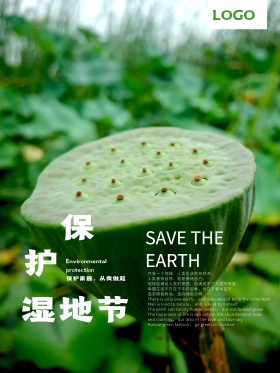清新简约保护湿地节红包配图节日海报