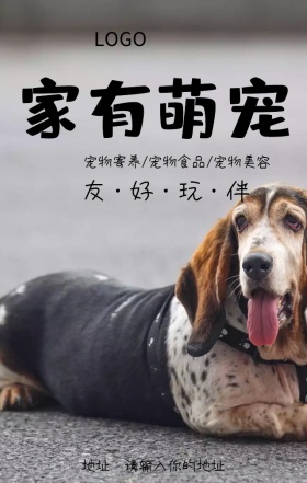 萌宠当家宠物店营销海报