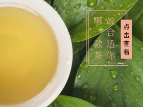 茶道茶具摄影风公众号横版配图模版