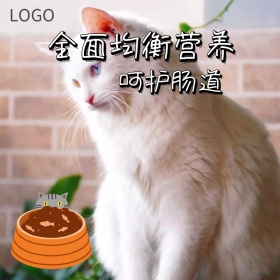 猫粮均衡营养淘宝宠物粮食卡通暖色直通车