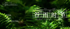 谷雨民俗雨后植物清新风简约公众号封面