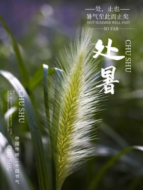 处暑节气创意简约商业海报设计模板