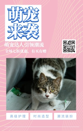 萌宠来袭 高级护理 时尚造型 潮流装扮 萌宠达人引领潮流 全场七折优惠，有买有赠 宠物护理促销活动简约手机海报