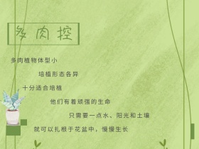 绿色摄影多肉促销家居公众号横版配图