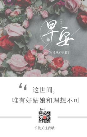 浪漫玫瑰花早安日签海报玫瑰落花