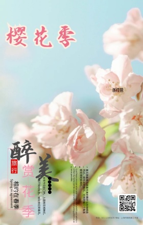 简约风醉美赏花季宣传海报