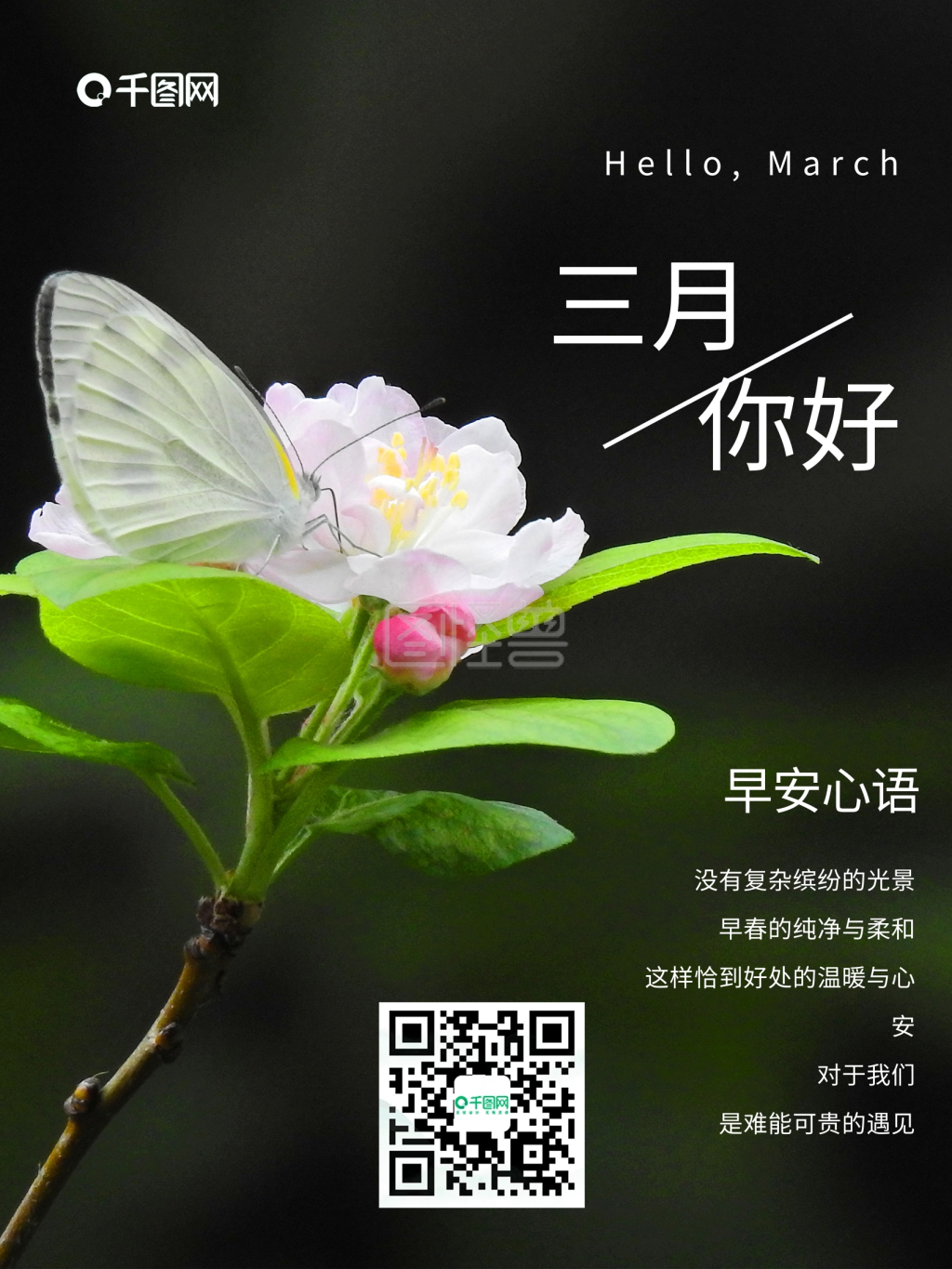 你好三月早春春天花朵绽放早安日签海报