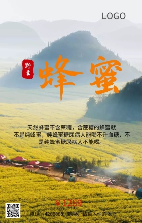 纯天然野生蜂蜜功效营销海报