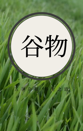 简约清新淡雅五谷杂粮促销宣传海报