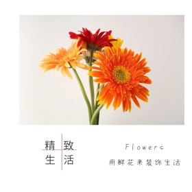 粉色摄影鲜花促销生活公众号正方形配图