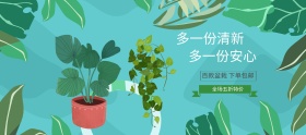 盆栽绿植植物盆栽盆景banner