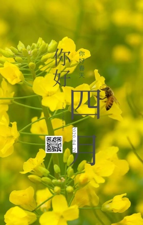 你好四月小清新日签