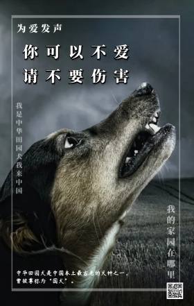 2018保护中华田园犬手机海报
