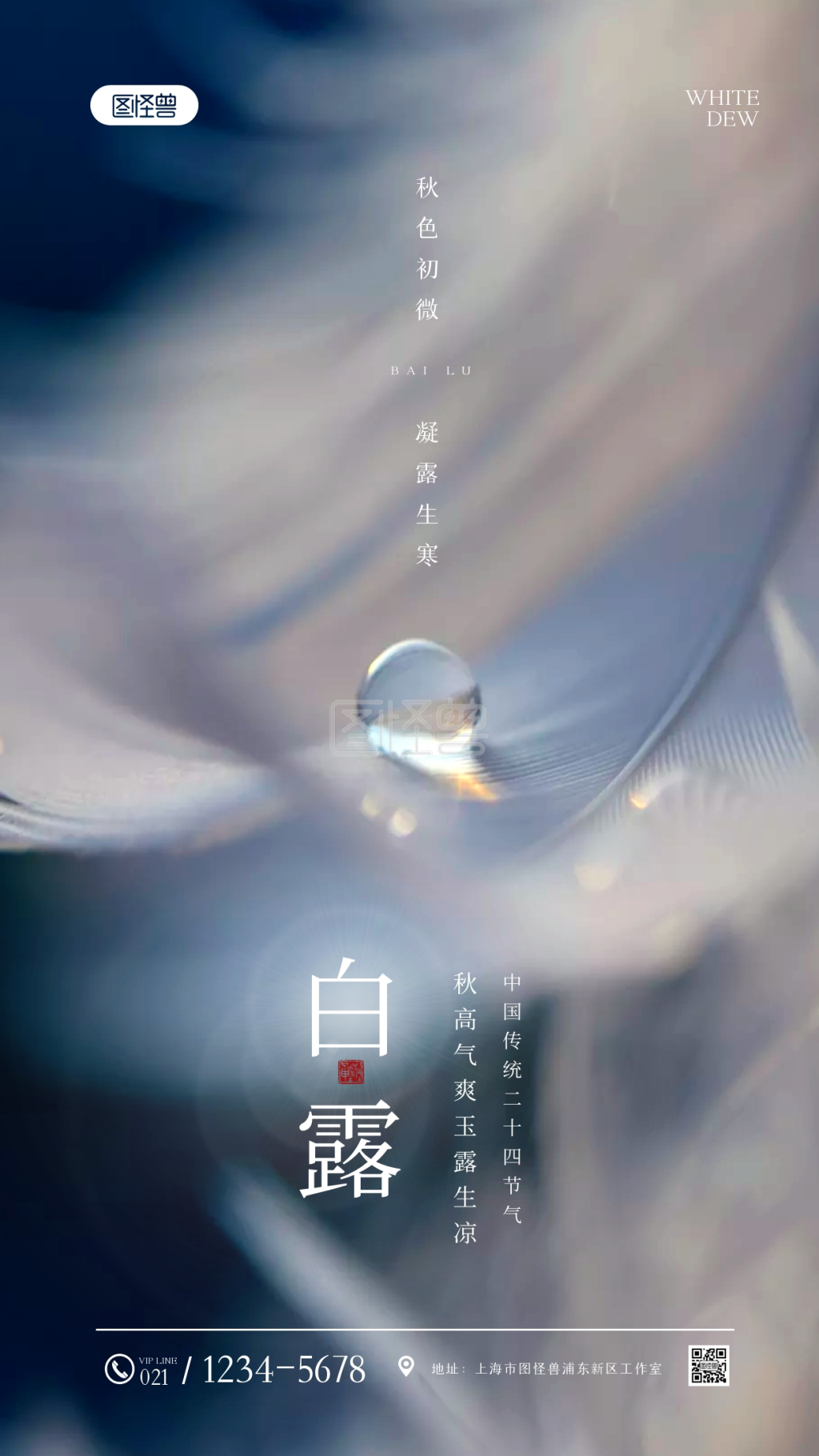 简约大气白露节气祝福问候摄影图海报