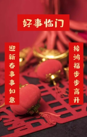可爱卡通手绘2019新年对联祝福海报