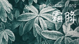 霜降公众号封面