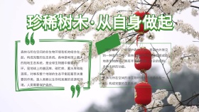 珍稀树木小报海报