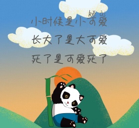 小清新似的可爱憨厚熊猫宝宝