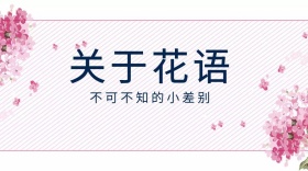植物类花语红包公众号封面图