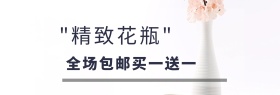 精致简约花瓶家居促销