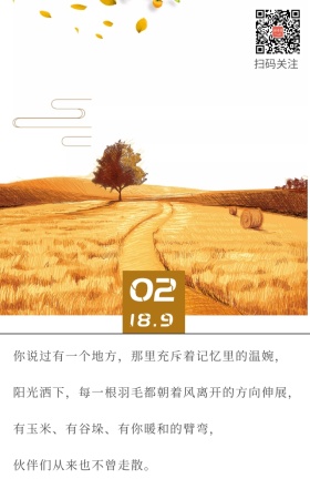记忆童年麦田简约日签