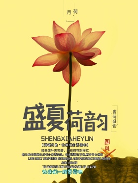 盛夏荷韵海报